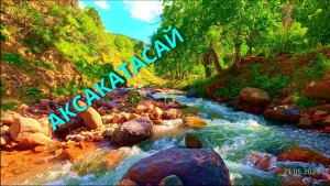 Поездка на Аксаката сай, Узбекистан