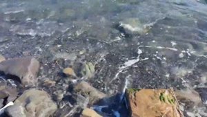 ШОК! Лед на Утрише в море.Смотрим есть ли мазут? Большо?