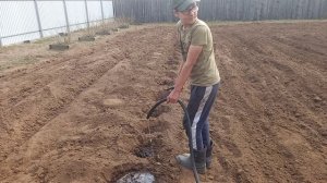 Полив и посадка картофеля