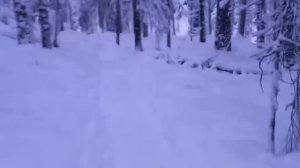 Водопад Святого ручья. Пинега. Новогодние праздники.  ?