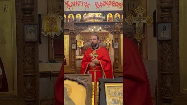 Проповедь отца Ильи в Неделю 6-ю по Пасхе, о слепом. Воскресенье 25 мая 2025 года
