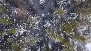 Нижний Тагил.