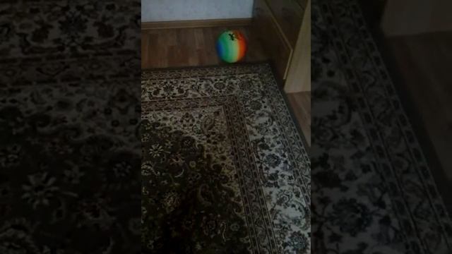 Академия уитс смотреть онлайн