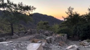 Dog Vlog: отдых в Турции с собакой // Поднимаемся ночью на г