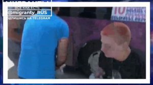 Журналисты пытаются оправдать цыган из Коркино
