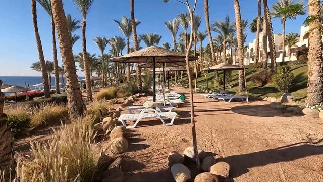 Grand Rotana 5* 🇪🇬 Египет ❗️ Шарм Очень красивый отель смотреть онлайн
