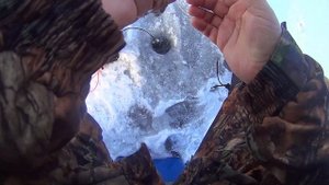 Мормышинг в лунке. Зимняя рыбалка. Февраль 2025. Окунь, ёрш и плотва. Безмотылка в глухозимье.