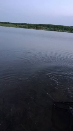 Щука на 4 кг