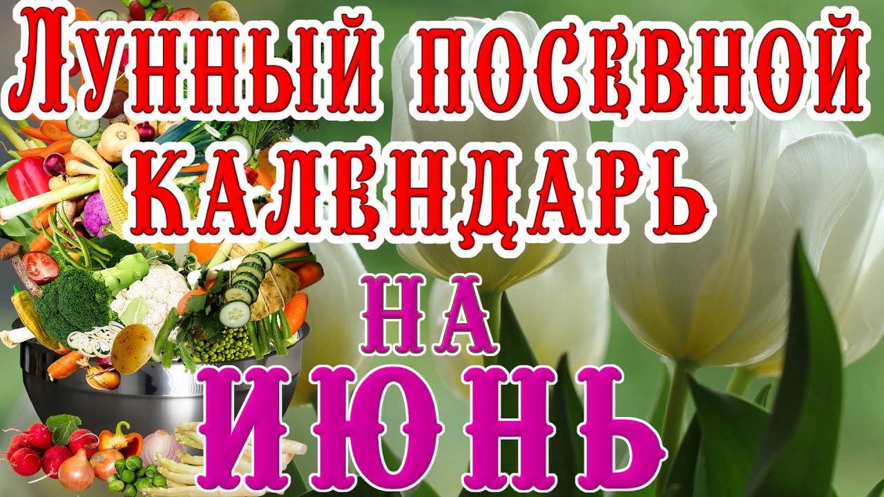 🍅ЛУННЫЙ ПОСЕВНОЙ КАЛЕНДАРЬ НА ИЮНЬ 2025 🌕 LUNAR SOWING CALENDAR 🌙 FOR JUNE 2025