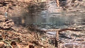 Тамбовский "гейзер" - Эолика. Мамонтова пустынь. Источн