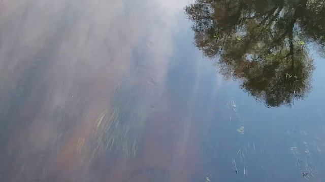 Брестская крепость осенью. Беларусь.