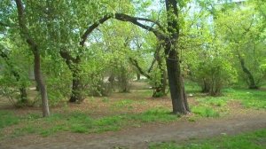 "Будни" (новости, 23.05.25г., Бийское телевидение)