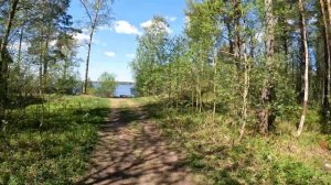 Токсово. Еловые холмы, Курголовская этнотропа