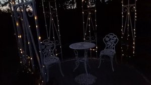 Майская ночь. Соловьи.