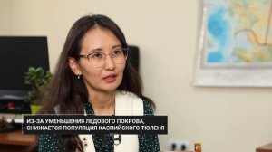 Почему высыхает Каспийское море и какие у этого после?