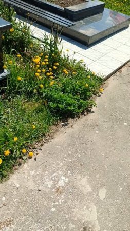 VID_20250521_122756
