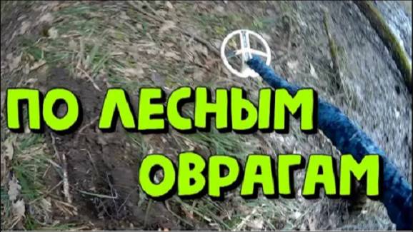 С металлоискателем по лесу. Весенний КОП