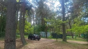 Прогулка в лес за хвойным опадом и шишками🌲🥰Мульча и декор для дачи🌞👌 #дача