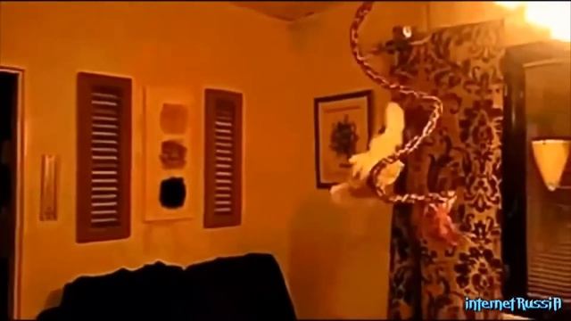 10 минут матерых Русских приколов для взрослых Ржака подборка для мужиков! Приколы за октябрь смотреть онлайн