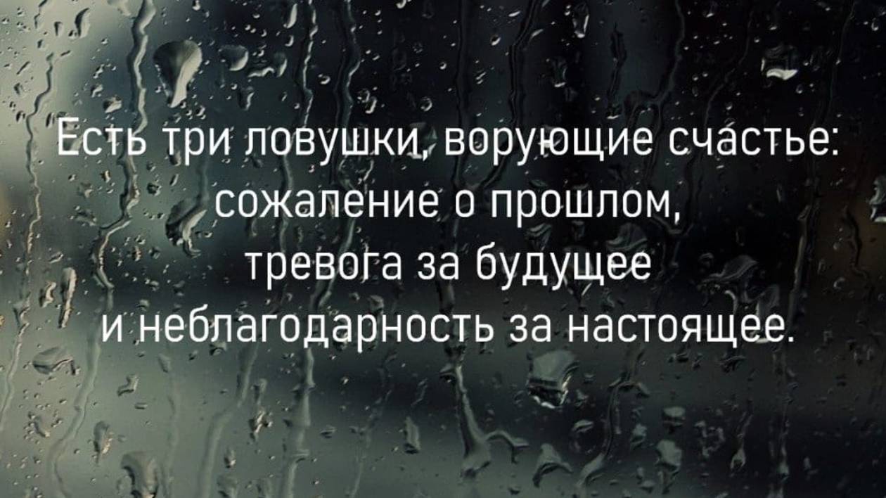 Впереди новая неделя!Что она Вам несёт?🤔