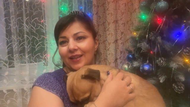 СП "Шапочный разбор на год"//Видеоприглашение