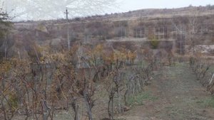 Поездка в хутор Пухляковский