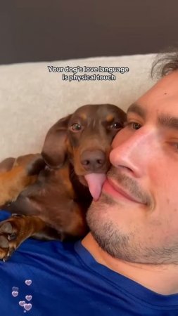 The love of a dog is selfless❤️❤️
