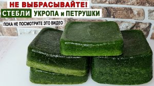 Стебли укропа и петрушки никогда НЕ ВЫБРАСЫВАЮ, а делаю из них отличные заготовки на зиму