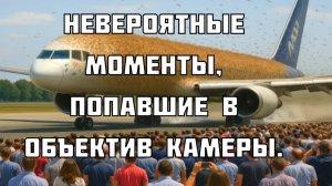 Невероятные моменты, попавшие в объектив камеры.