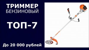 ТОП-7. Триммер бензиновый до 20 000 рублей