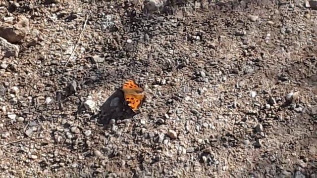 2020.03.04_13:22:28 Крым, Балаклава. Календарная весна но летня смотреть онлайн