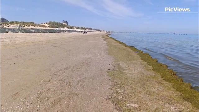 Анапа пляж Джемете сегодня 25 мая 2025. Море и погода в Анапе сейчас. Тина на пляже, мазута нет