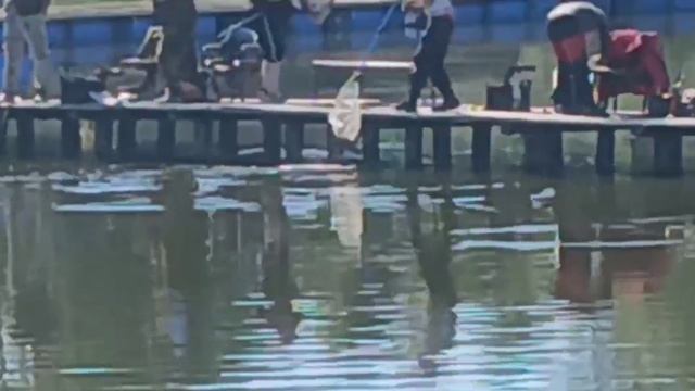 25-05-2025 смотреть онлайн