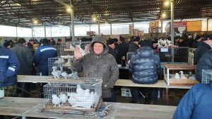 12.05.2025г Ярмарка ст. Бронницы ч. 4👍