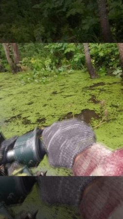 Полноприводный мотоцикл в болоте №194в