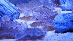 Удивительные факты о #Озере #Байкал