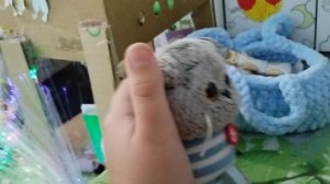 Мини влог с басиками, новые вещички😋