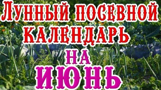 🍅ЛУННЫЙ ПОСЕВНОЙ КАЛЕНДАРЬ НА ИЮНЬ 2025🌕