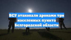 ВСУ атаковали дронами три населенных пункта Белгородской области