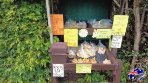 КАК АВСТРАЛИЯ ЖИВЕТ НА ВУЛКАНЕ