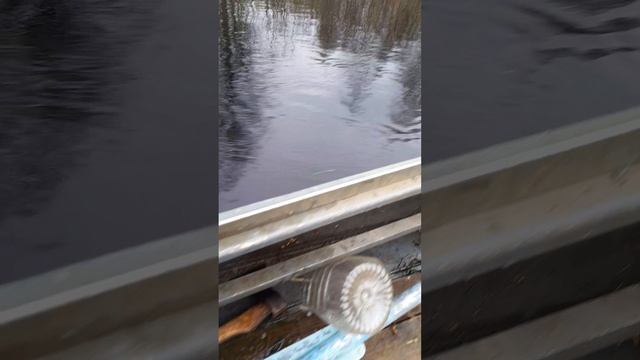 Игоряха сказал, что знает))))
