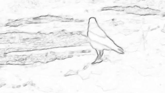 Сейчас взлетаю...Now take-off... смотреть онлайн