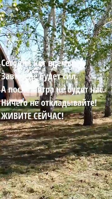 МАЙ #отдыхсдрузьями #отдыхлетом #бурлинскиеозера смотреть онлайн