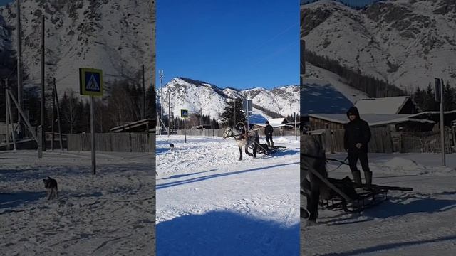 ПУТЕШЕСТВИЕ В ГОРНЫЙ АЛТАЙ . КРАЙ ЗЕМЛИ . смотреть онлайн