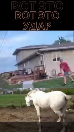 Разве это удар?Вот это удар! Is this a blow?This is a blow! #shortvideo#youtubeshorts #shorts #short