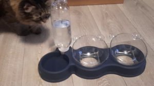 Двойная миска с поилкой MYRICH.mp4