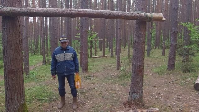 В лесу Телешм.