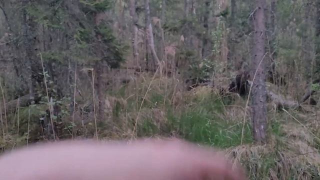 Мини-поход на Лубенское озеро смотреть онлайн