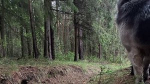 Вместе весело шагать