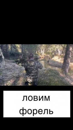 ловим форель в карельской речке